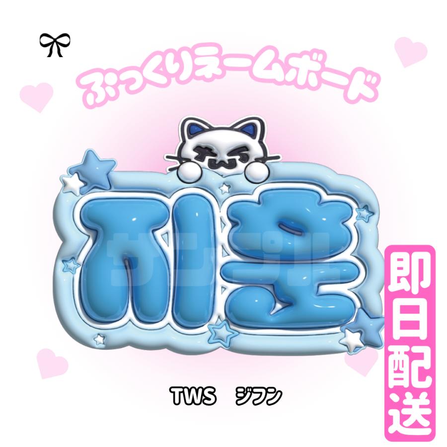 3Dぷっくりネームボード】TWS 3D ネームボード 応援グッズ kpop
