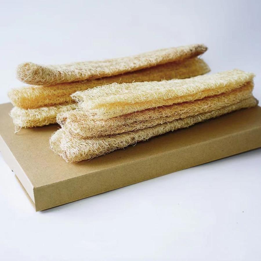 6本セット へちま ヘチマスポンジ へちまたわし たわし 天然素材 環境 エコ 肌にやさしい キッチンスポンジ 食器洗い 野菜洗い 果物洗い Sdgs 16 Yorisoi 通販 Yahoo ショッピング