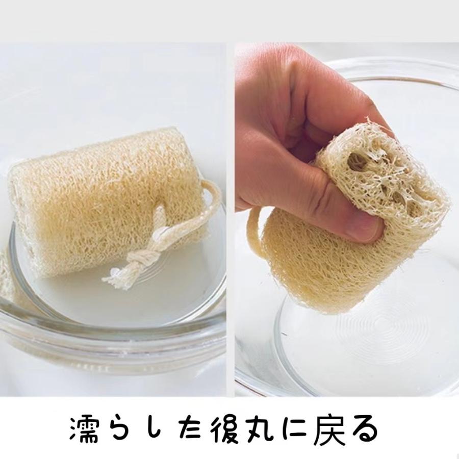 新商品 2本セット へちま ヘチマスポンジ へちまたわし たわし 天然
