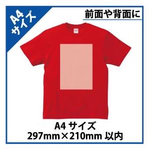 A4サイズプリント　追加オプション　1箇所＠1,700円 |  | 01