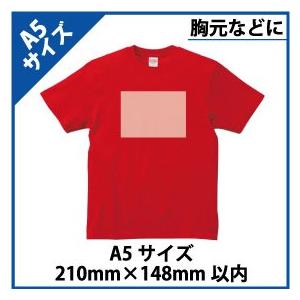 A5サイズプリント　追加オプション　1箇所＠1,400円 |  | 01