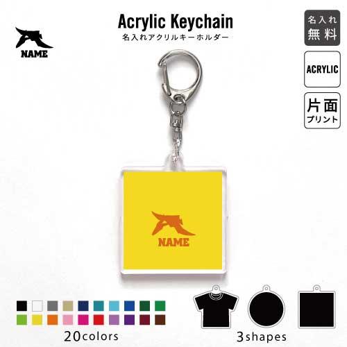 プテラノドン4 アクリル キーホルダー 名入れ アクキー チャーム 恐竜 