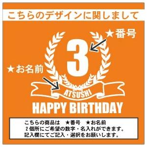 バースデイ 半袖名入れキッズTシャツ こども服 子供服 キッズウェア 綿