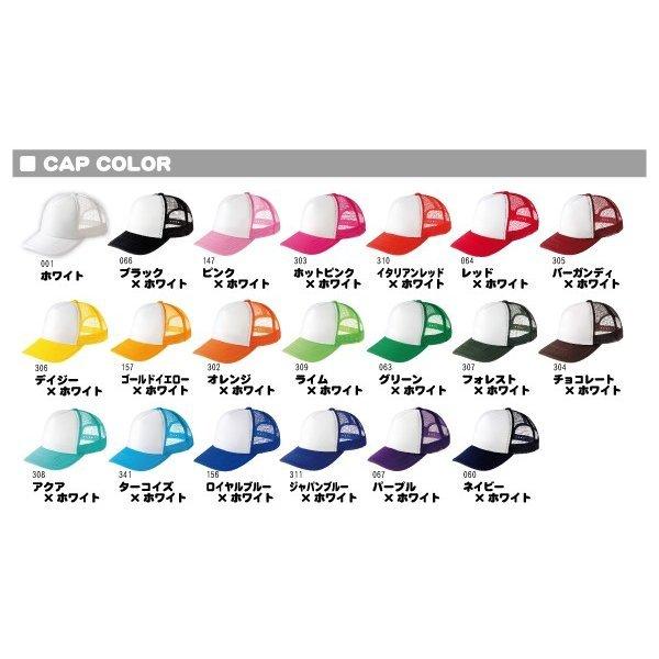 プテラノドン2   名入れメッシュキャップ 名入れ 帽子 名入れキャップ メッシュ  恐竜　化石　肉食　草食　雑食　海　陸 |  | 01