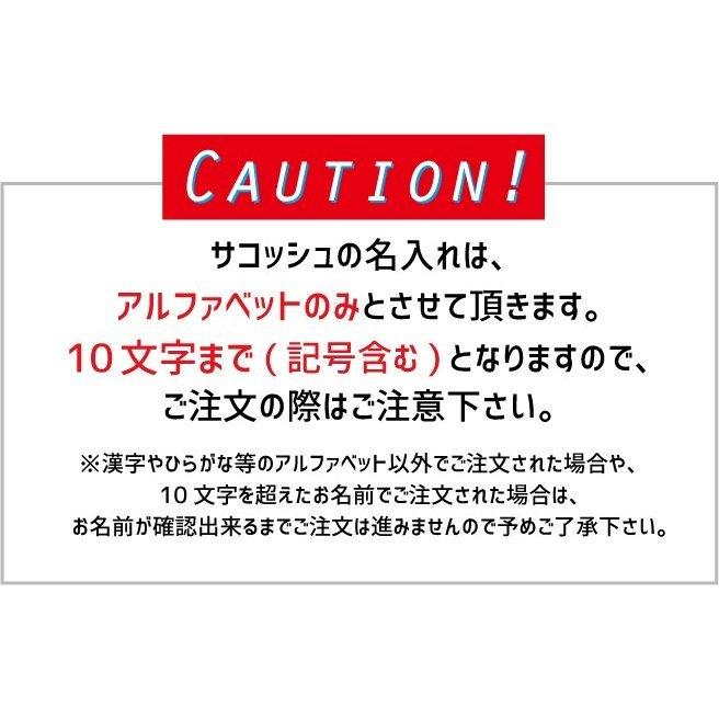 保育士・幼稚園教諭2 名入れサコッシュ 肩掛け  キャンバス地 通勤 通学 エコバッグ コットン 職業 託児所　こども園　先生　教諭　幼児｜emblem｜06