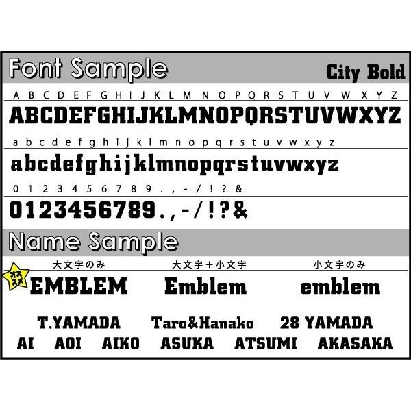 トカゲ 名入れシェルポーチ ヒョウモントカゲモドキ 爬虫類 ミニバッグ 収納 小物 レディース メンズ キッズ プチプラ かわいい Shlp 0842 Emblem Yahoo 店 通販 Yahoo ショッピング