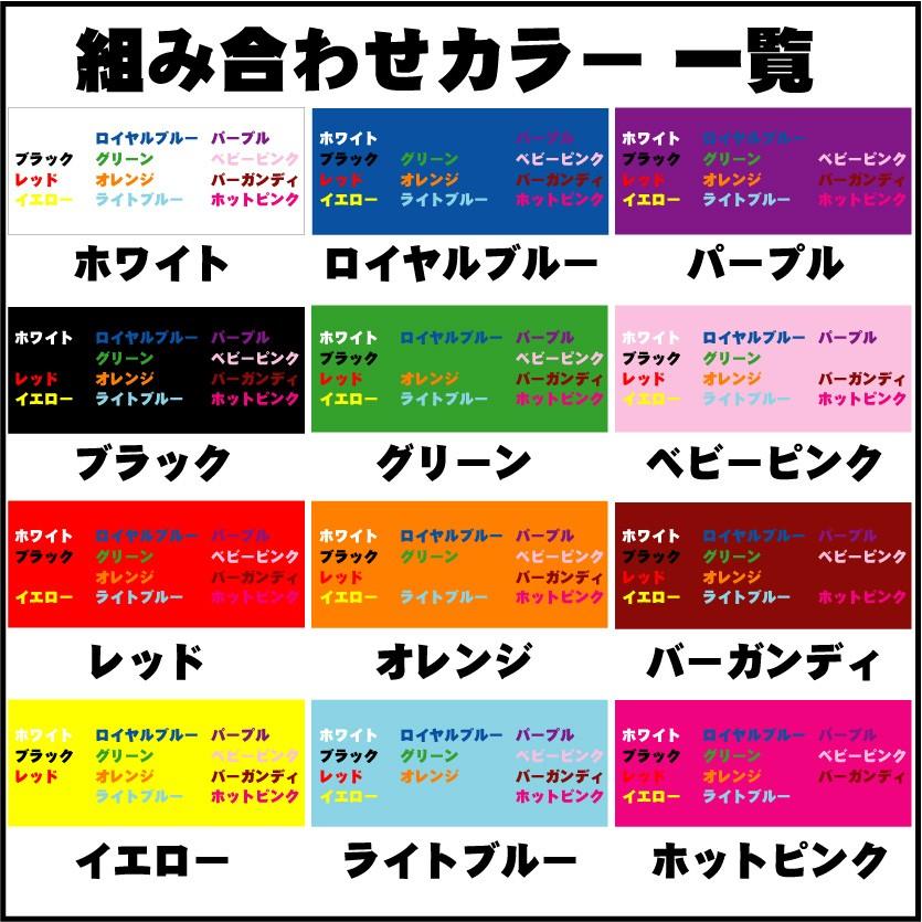 マフラーナンバータオル 番号＆名入れマフラータオル 昇華プリント カラフル チームカラー お名前入り クラブ チーム  選手名 サポーター 応援 記念 スポーツ｜emblem｜06