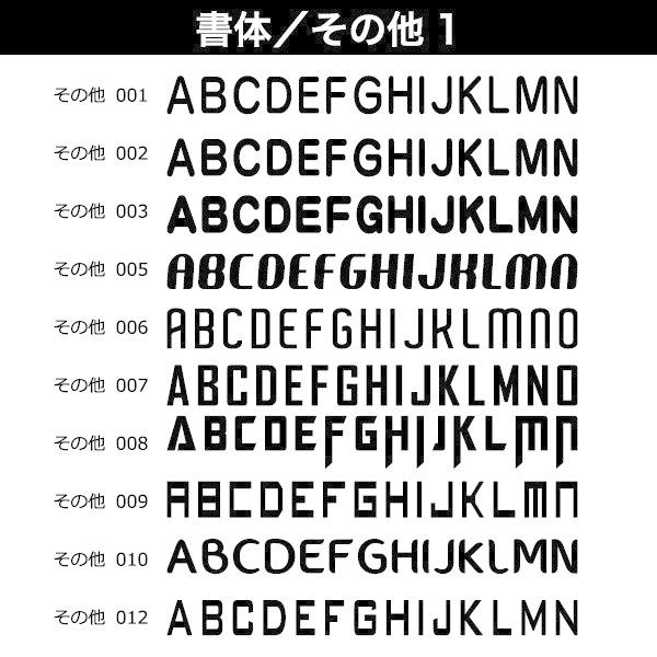 自由な文字入れライトジャンバー （スタッフユニフォーム／ショップ店員ウェア／会社仕事着／イベント／サークル）｜emblemfactory｜10