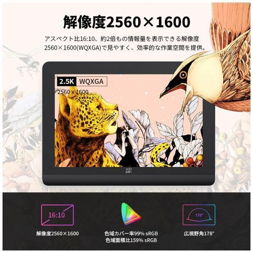 エックスピーペン XP-PEN 液晶ペンタブレット Artist Pro 16 （Gen2） 16インチ WQXGA（2560x1600）液晶 MD160QH_AD41 《納期約１−２週間》の画像