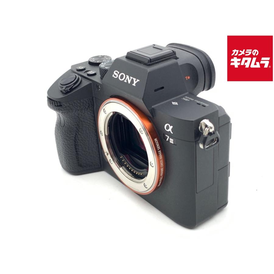 α7Ⅲ 付属品あり 並品
