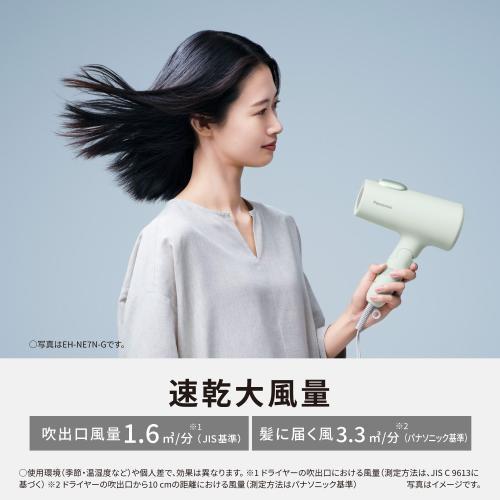 Panasonic パナソニック ヘアードライヤーイオニティ EH-NE7N-G