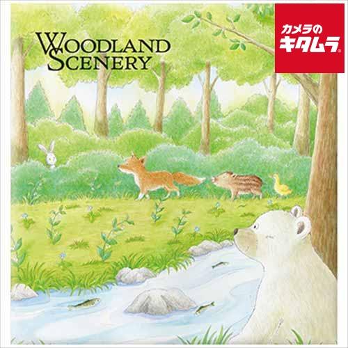 ナカバヤシ 25L-16 フエルアルバム フリー台紙 Lサイズ ウッドランド