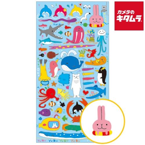 MINDWAVE(マインドウェイブ) 71957 MWシール ゆるふぃっしゅ : カメラ