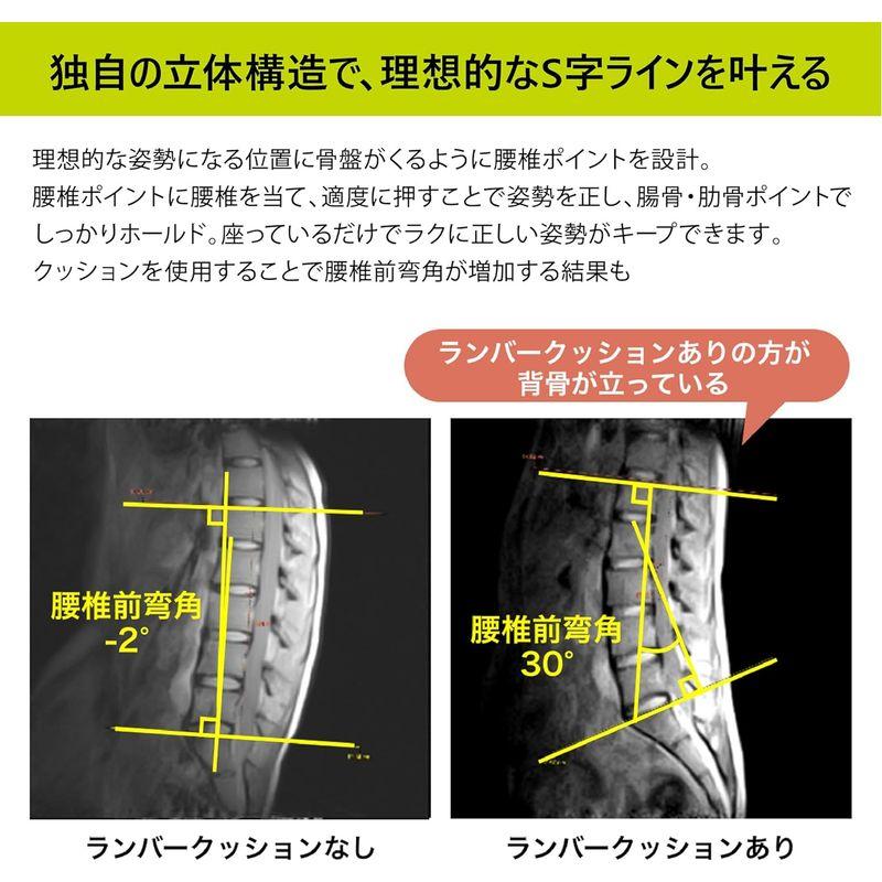 【数回のみ使用】nishikawa【西川】 キープス 腰クッション Amazon.co.jp: nishikawa【西川】 キープス 腰クッション いつも