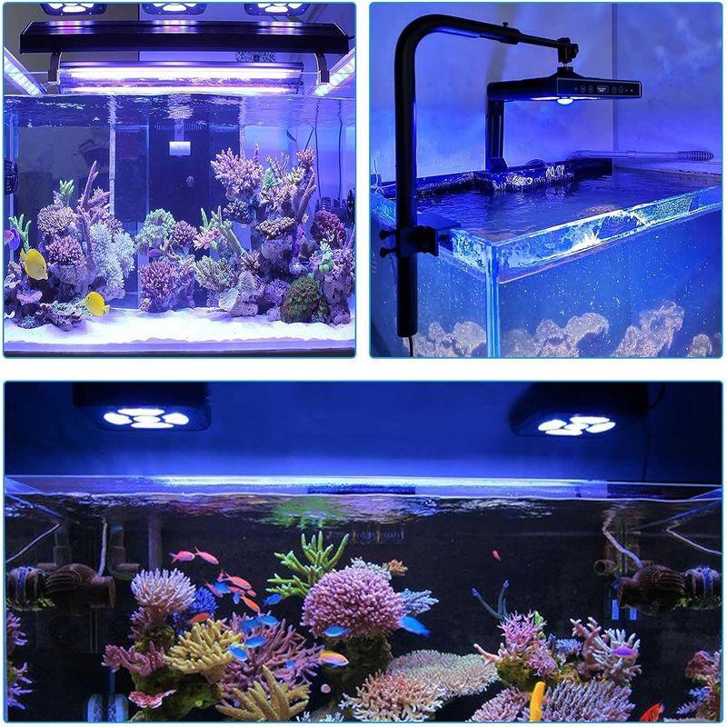 Hipargero水槽ライト-100watt LEDアクアリウムライト海水魚ライトサンゴ礁飼育ライトタンクライトSPS/LPSサンゴライトの 100watt LEDアクアリウムライト海水魚ライトサンゴ礁飼育ライトタンクライトSPS/LPSサンゴライトの 消費