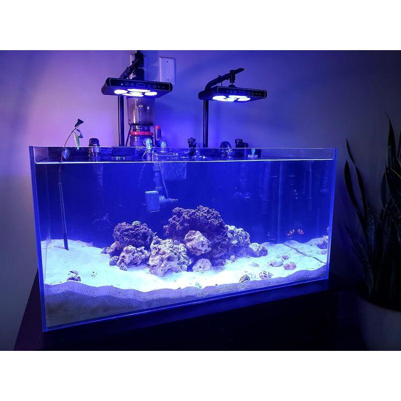 Hipargero水槽ライト-100watt LEDアクアリウムライト海水魚ライトサンゴ礁飼育ライトタンクライトSPS/LPSサンゴライトの 100watt LEDアクアリウムライト海水魚ライトサンゴ礁飼育ライトタンクライトSPS/LPSサンゴライトの 消費