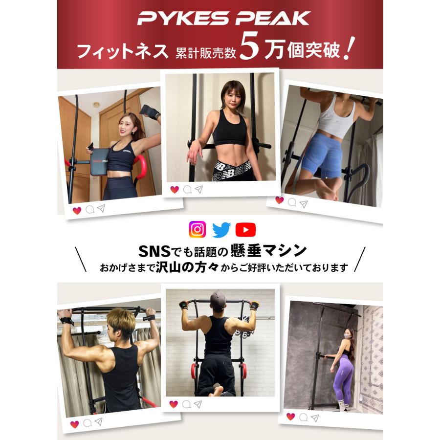 PYKES PEAK ぶら下がり健康器 懸垂マシン 耐荷重150kg PYKES PEAK ぶら下がり健康器 懸垂マシン 耐荷重150kg