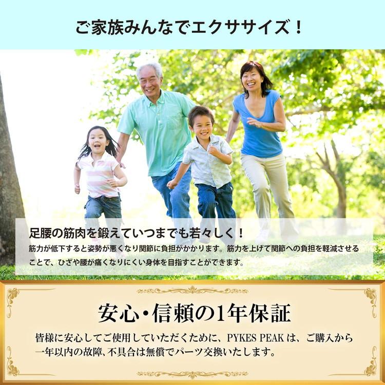 ウォーキングマシン パイクスピーク 自動撮影カメラ - sisben