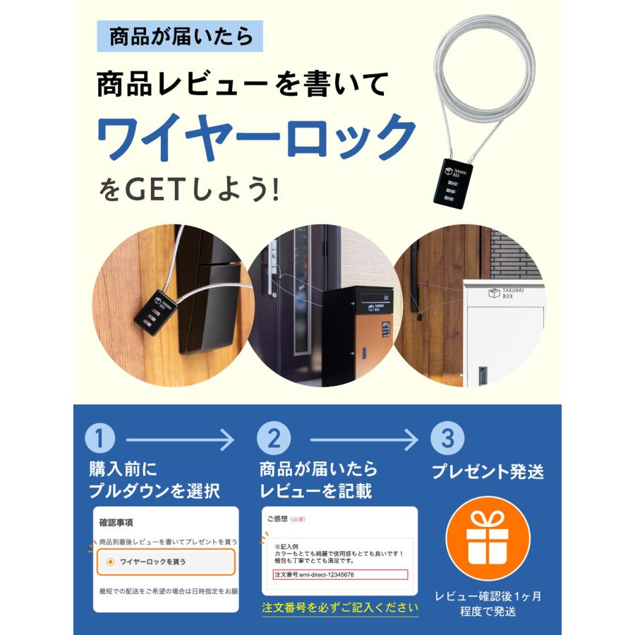 PYKES PEAK（パイクスピーク） 宅配ボックス 戸建 大型 防水 屋外 2段