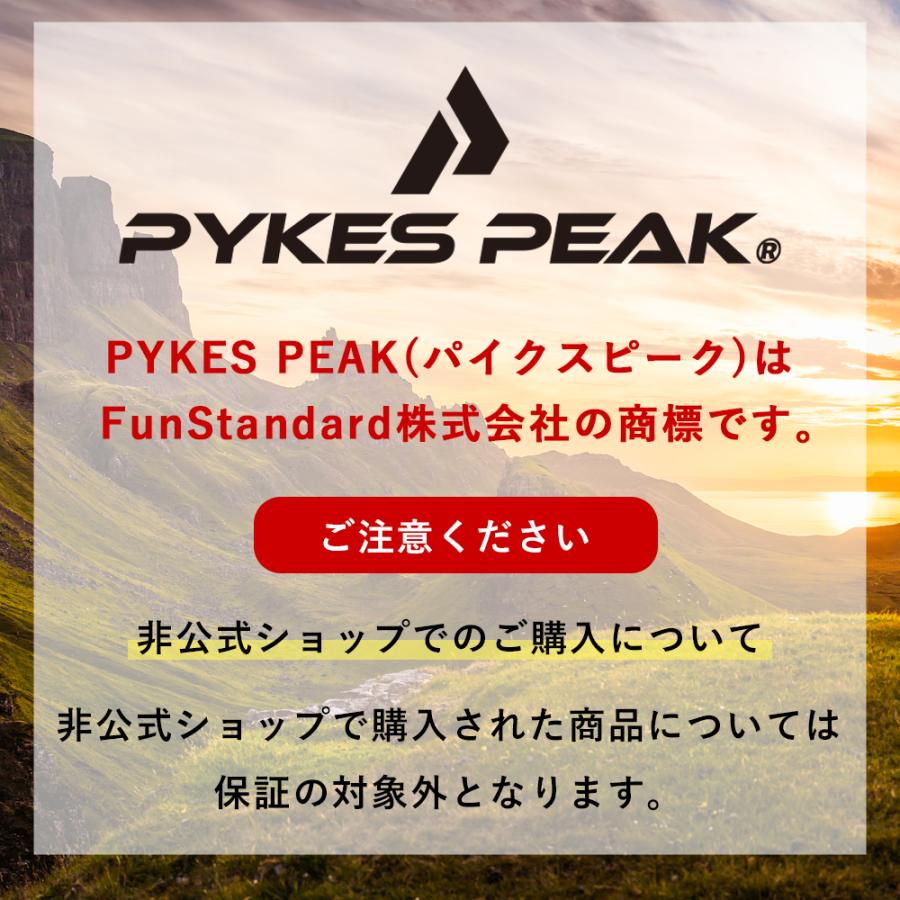 PYKES PEAK（パイクスピーク） 保冷剤 2個セット TOUGH GEAR クーラー