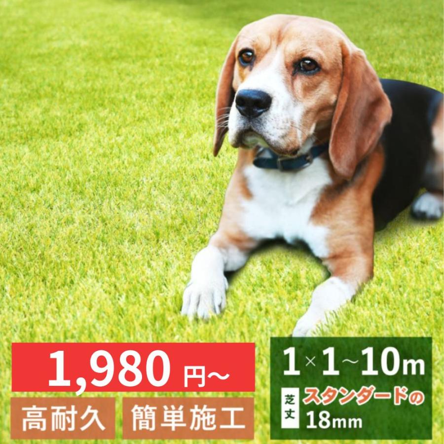 「最安値挑戦中」選べる 人工芝 DIY マット ロール 1 × 1 から 10 m 芝丈18mm 敷くだけ 下地 ピン付 おしゃれ パイクスピーク | PYKES PEAK