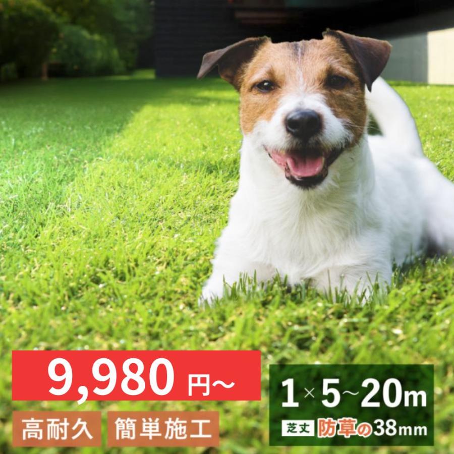 「最安値挑戦中」選べる 人工芝 防草タイプ ロール 1 × 5 から 20 m 芝丈38mm 敷くだけ 下地 マット DIY ピン付 おしゃれ パイクスピーク | PYKES PEAK