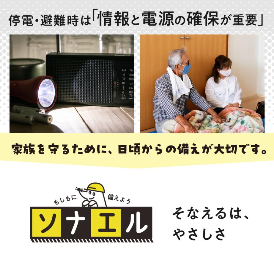 防災テレビラジオ 4.3in ワンセグテレビ FM AM LED ライト SOSアラーム