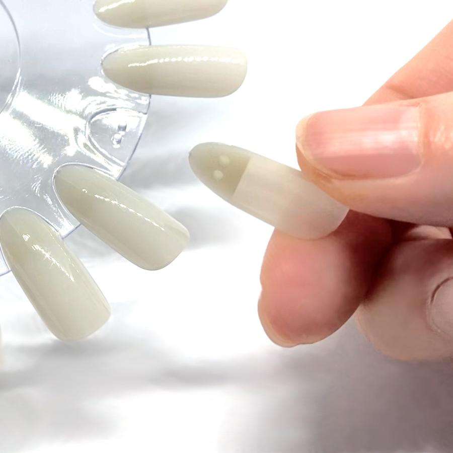 カラーチャートディスク 着脱式 クリア ナチュラル 20色チップ 業務用