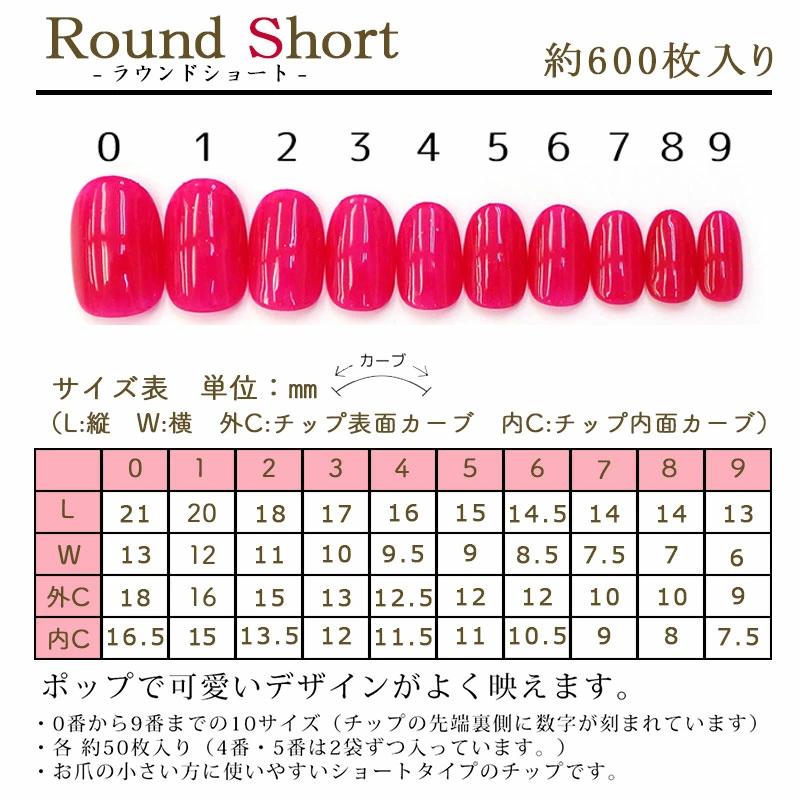 2026年先行発売 ネイル福袋 エミーナル特別お楽しみ福袋セット ネイル