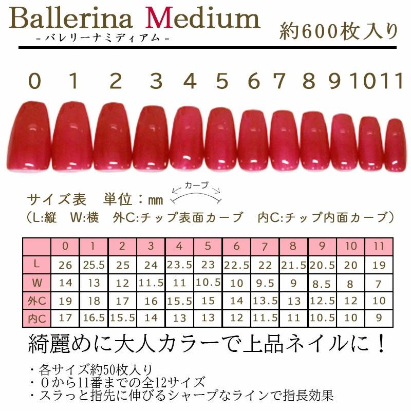 2026年先行発売 ネイル福袋 エミーナル特別お楽しみ福袋セット ネイル