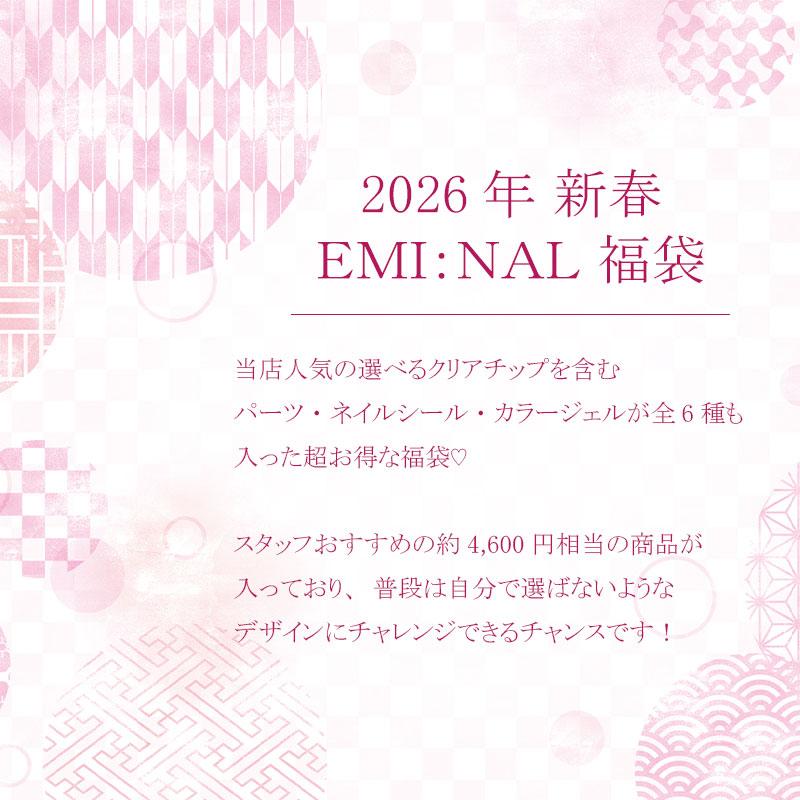2026年先行発売 ネイル福袋 エミーナル特別お楽しみ福袋セット ネイル