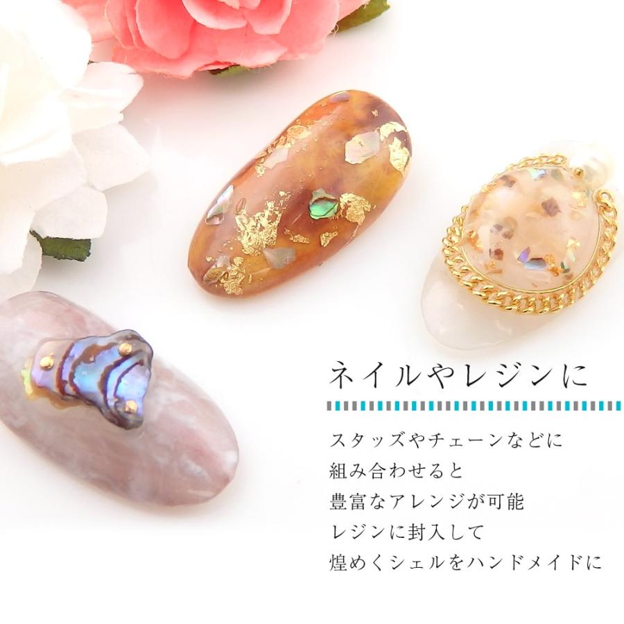 ネイル パーツ シェル フレーク ホワイト グロッシー シェル コレクション ６種類 レジン 素材 Nail018 セレクトショップ エミーナル 通販 Yahoo ショッピング