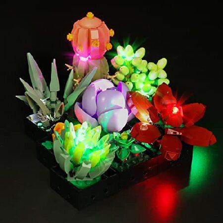 BrickBling LED Light Set for Lego 10309 Succulents Plant Decor Building, Creative DIY Lighting for Lego Botanical Collection-Newest Sound Version Ligh｜emiemi｜02