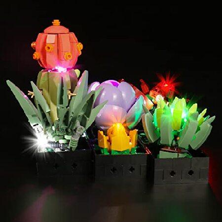 BrickBling LED Light Set for Lego 10309 Succulents Plant Decor Building, Creative DIY Lighting for Lego Botanical Collection-Newest Sound Version Ligh｜emiemi｜05