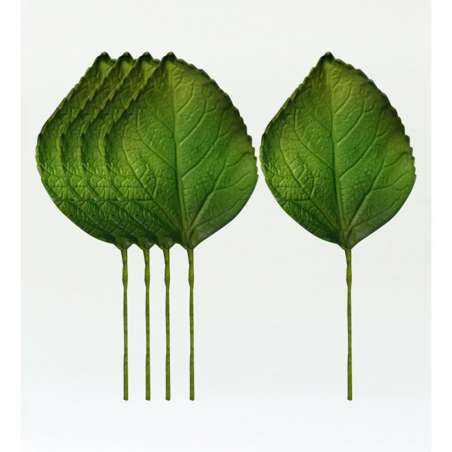 フラダンス ハイビスカスリーフ Mサイズ 5枚セット 1332M | 