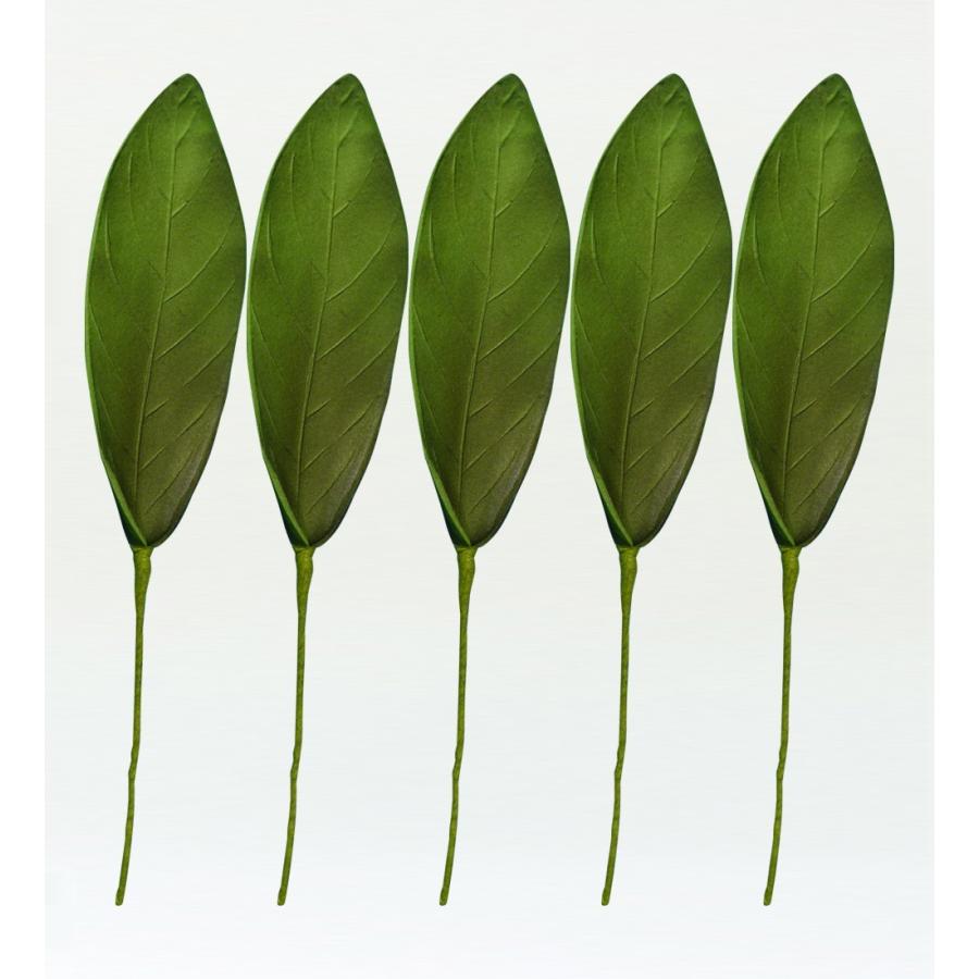 フラダンス ガーデニアリーフ Lサイズ 5枚セット 1334L | 