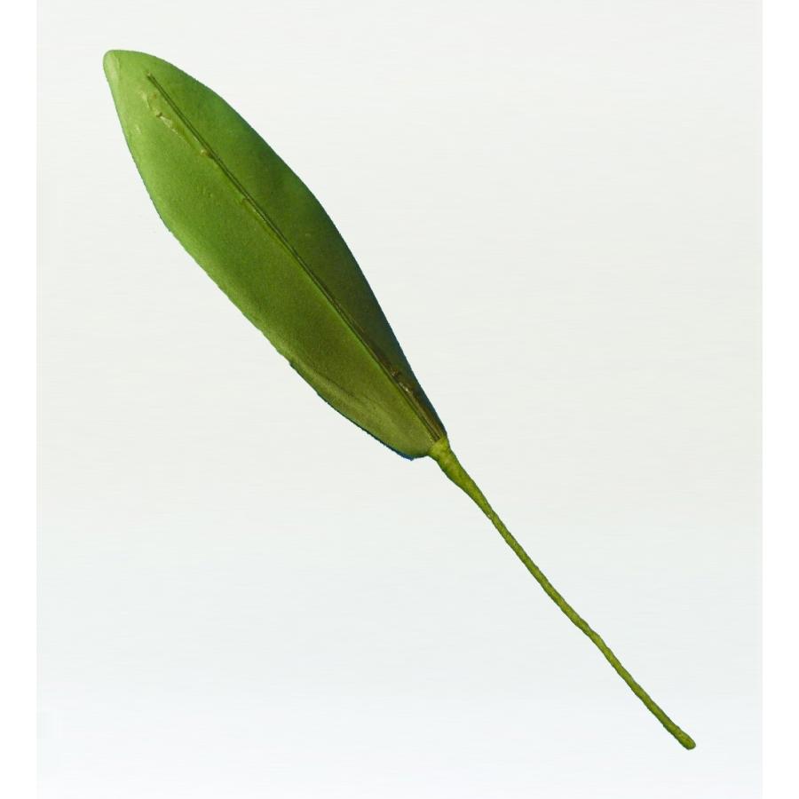 フラダンス ガーデニアリーフ Lサイズ 5枚セット 1334L |  | 01