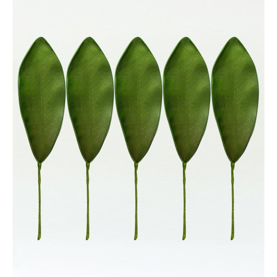 フラダンス ガーデニアリーフ Mサイズ 5枚セット 1334M | 