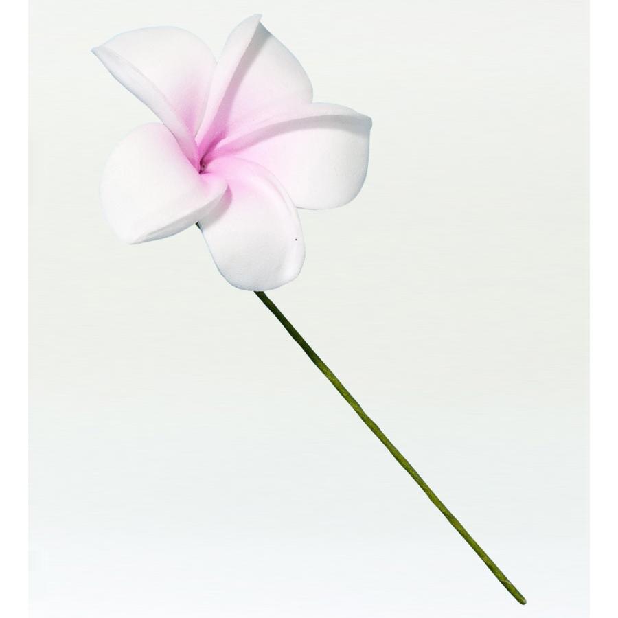 フラダンス プルメリア ブランド品専門の ヘアピック 1341wpi ホワイト ピンク