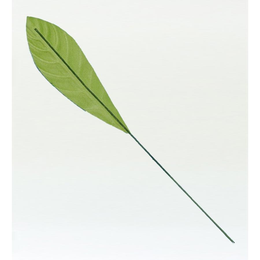 フラダンス プルメリアリーフ Lサイズ 5枚セット 1406L |  | 01