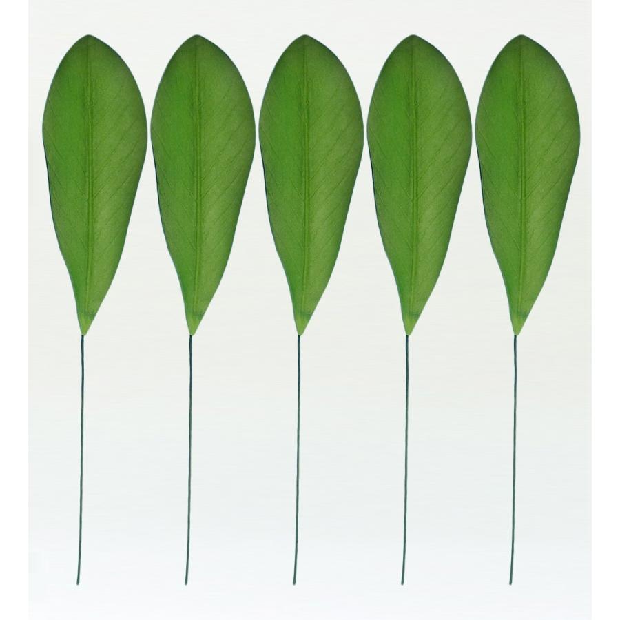 フラダンス プルメリアリーフ XLサイズ 5枚セット 1407XLa | 