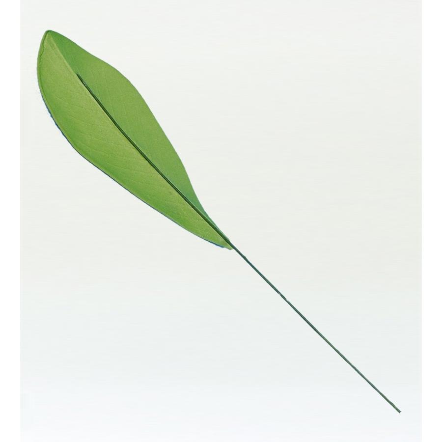 フラダンス プルメリアリーフ XLサイズ 5枚セット 1407XLa |  | 01