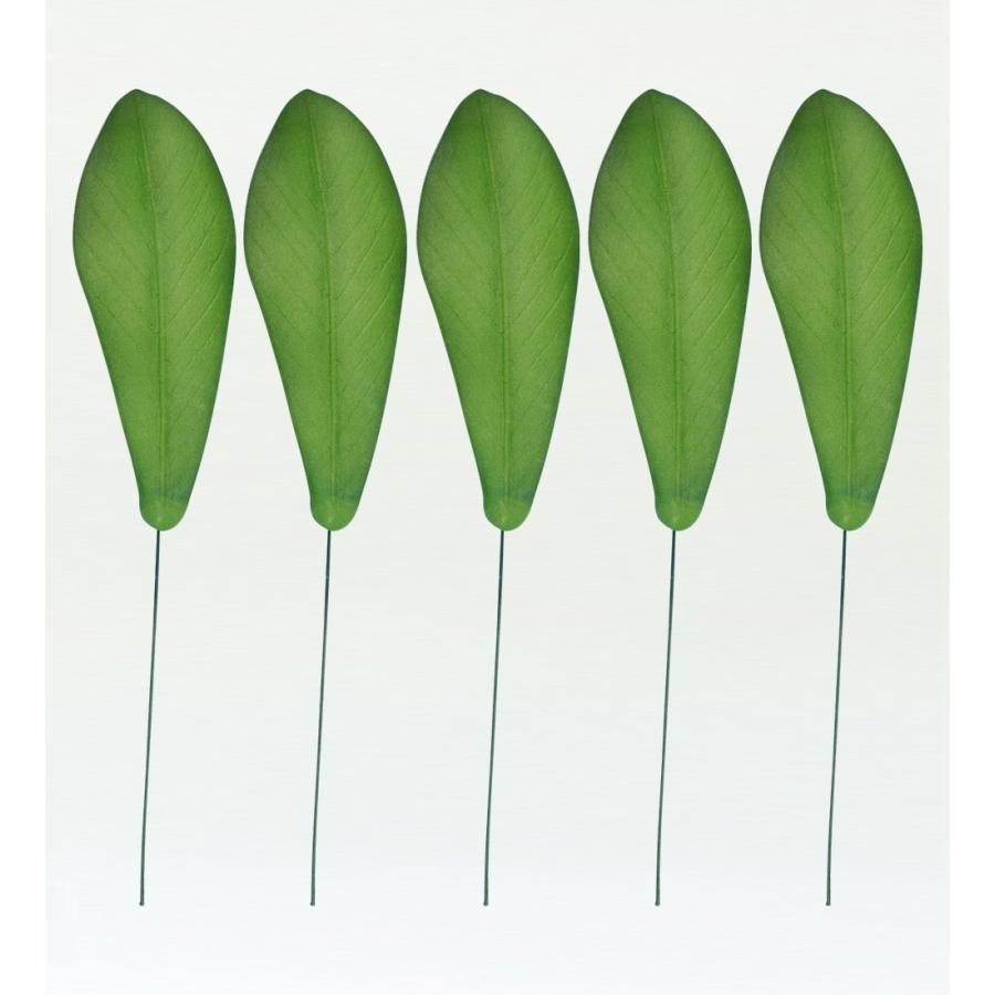 フラダンス プルメリアリーフ XLサイズ 5枚セット 1407XLb | 