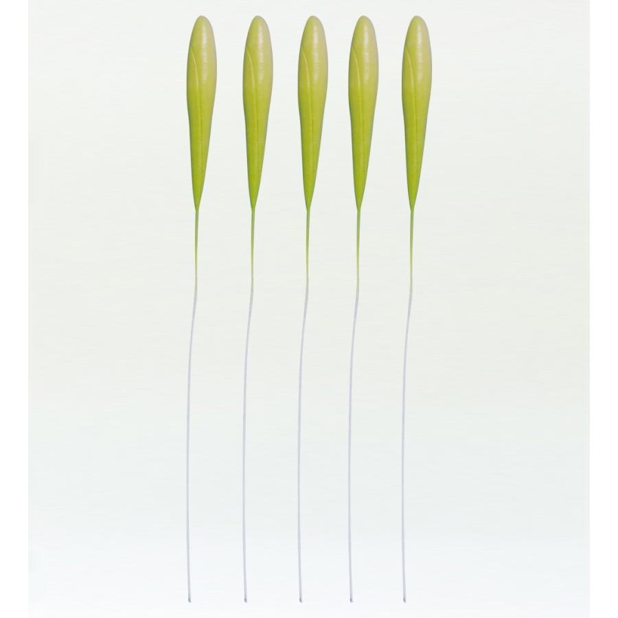 フラダンス プルメリアバッド Lサイズ 5個セット 1408L | 