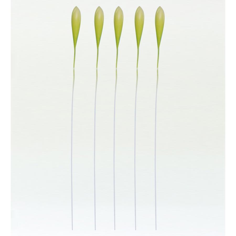 フラダンス プルメリアバッド Mサイズ 5個セット 1408M | 