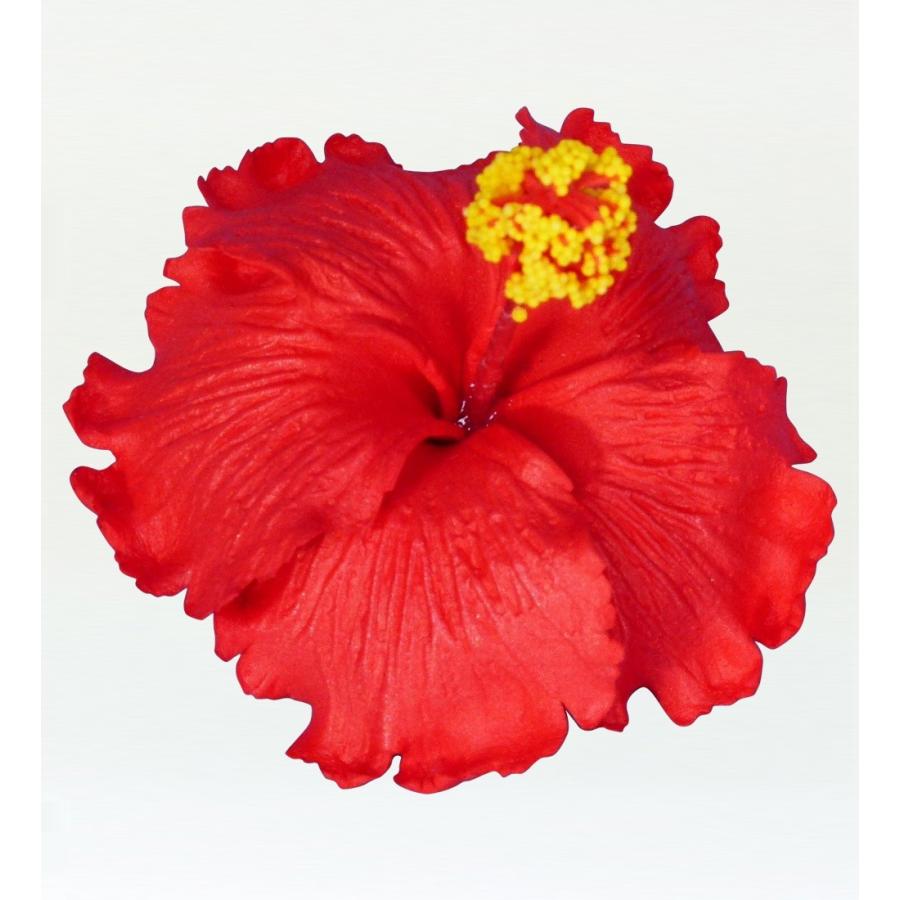 フラダンス ハイビスカス ヘアクリップ レッド 1598rC | 