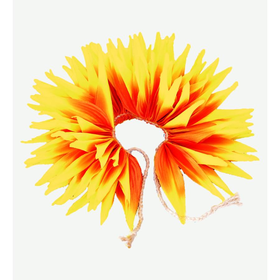 フラダンス バードオブパラダイス　アクセサリー イエロー×オレンジ 2441yeor | 