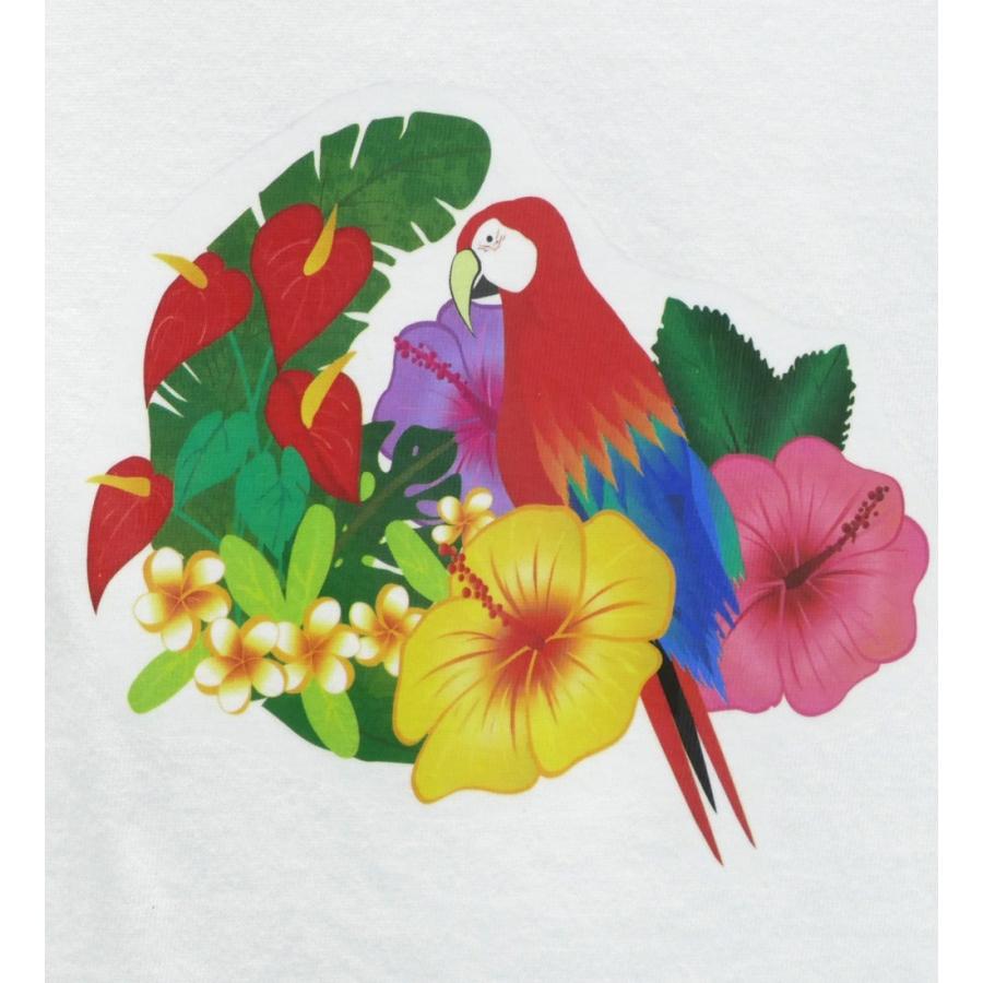 最大93 オフ フラダンス Tシャツ 5l ローズ ブラック 1915 5lb Materialworldblog Com