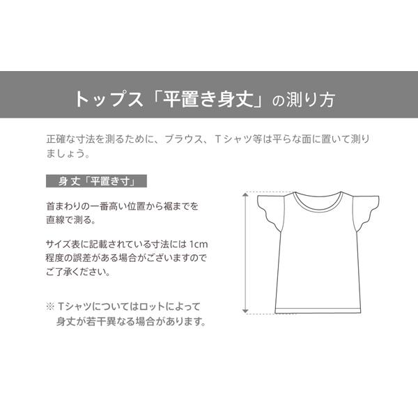 フラダンス Tシャツ [XL] トロピカルバード ブラウン 2682xlbr｜emika｜05