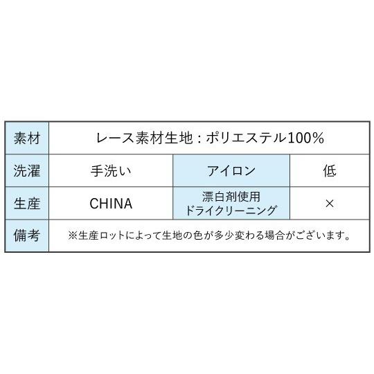 フラダンス レースケープ ホワイト 2839w |  | 06
